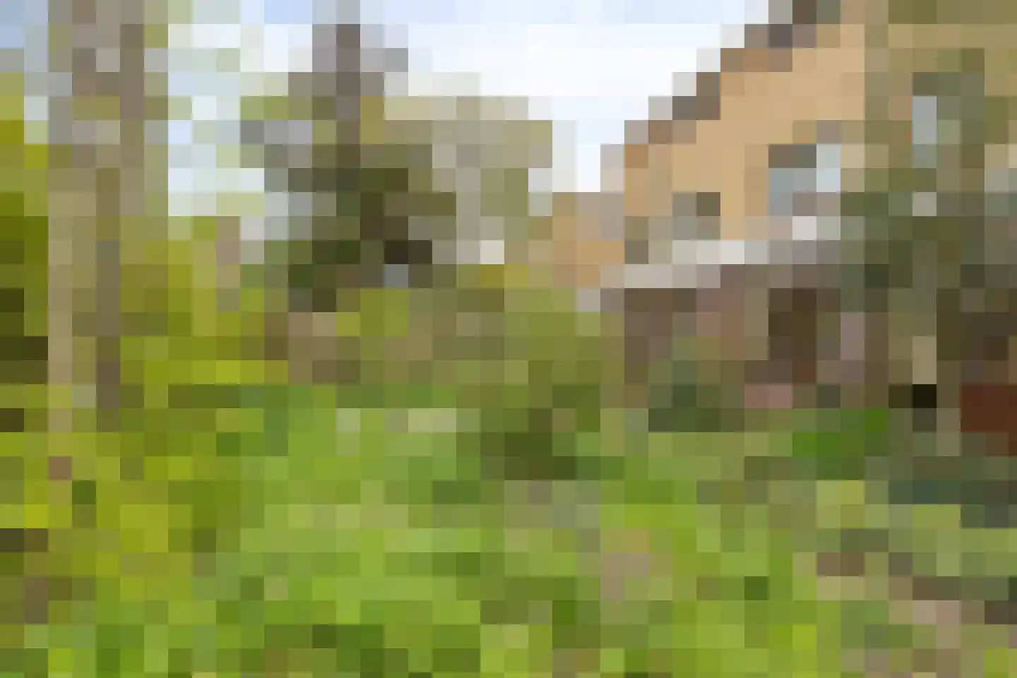 Cartesiuslaan 14 Oegstgeest thumbnail 36