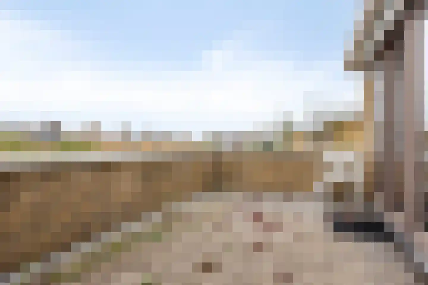Cartesiuslaan 14 Oegstgeest thumbnail 41