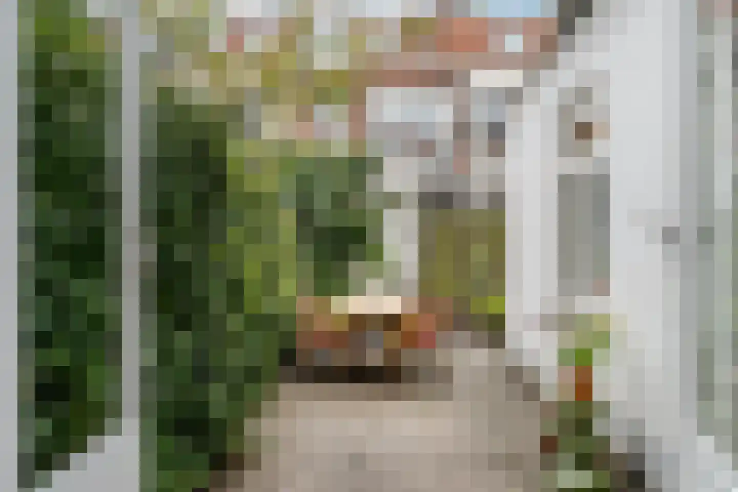 Cartesiusstraat 122 Den Haag thumbnail 19