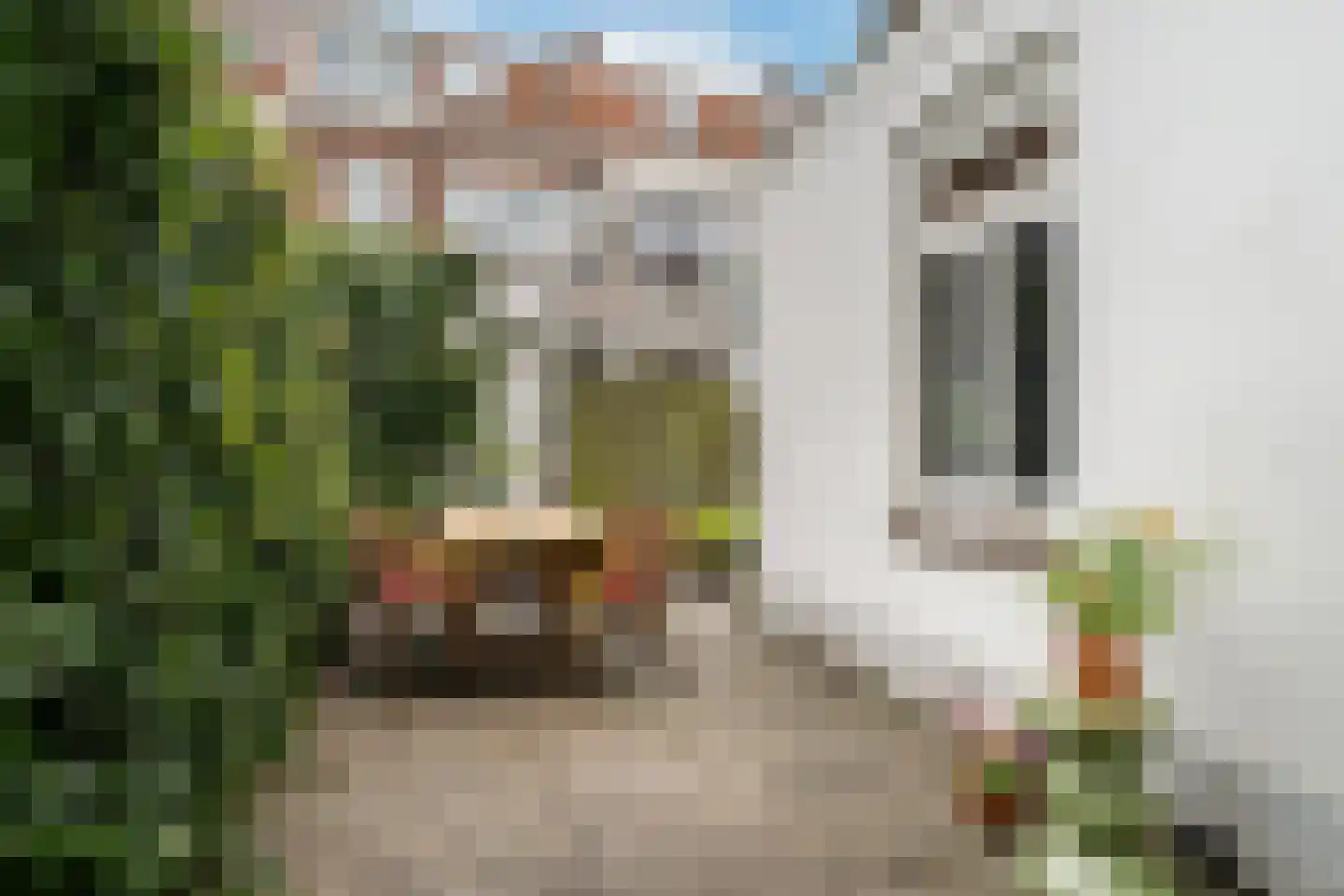 Cartesiusstraat 122 Den Haag thumbnail 20