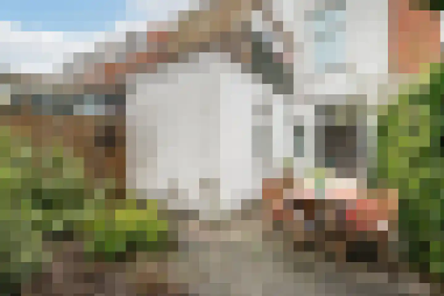 Cartesiusstraat 122 Den Haag thumbnail 22
