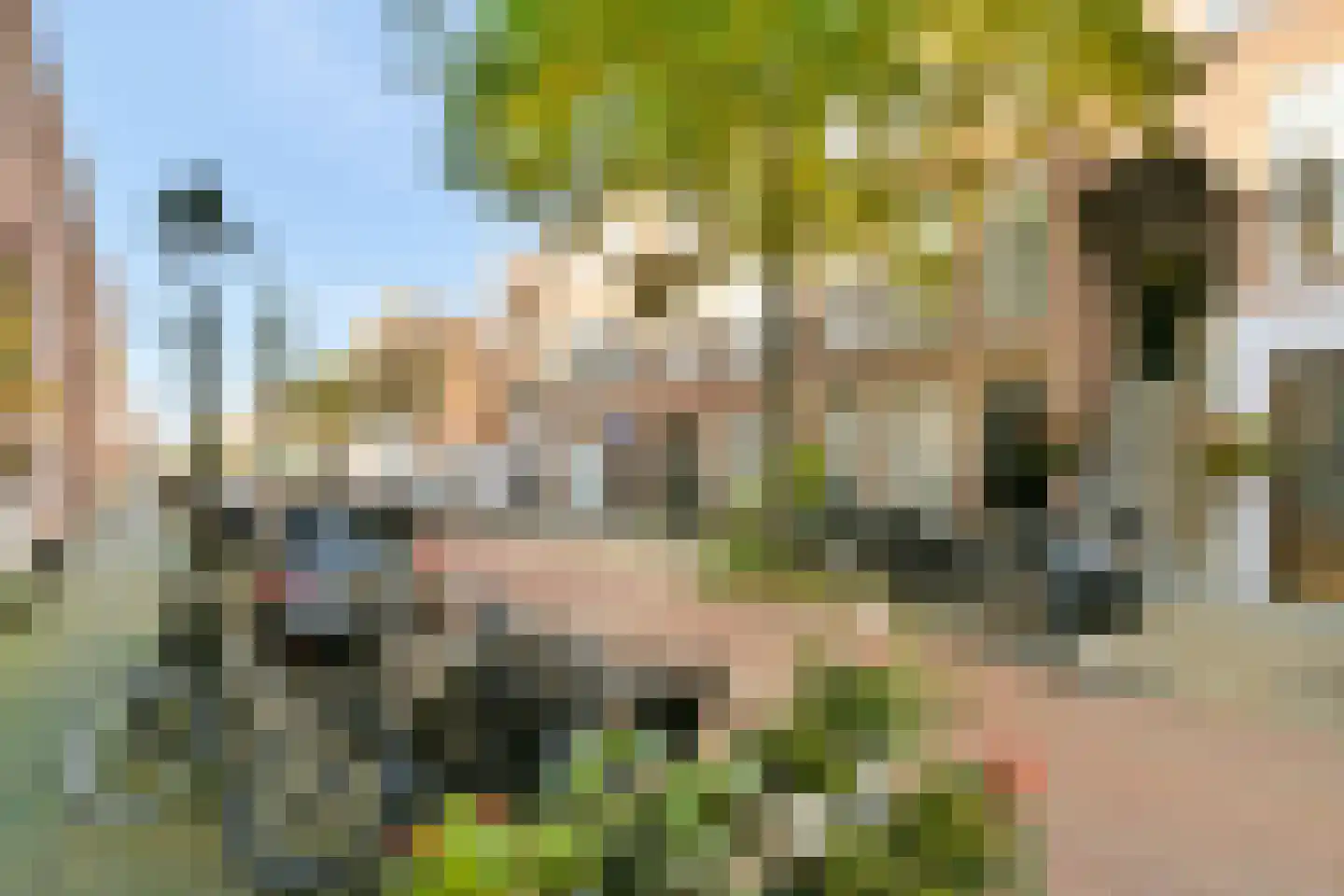 Cartesiusstraat 213 Den Haag thumbnail 26
