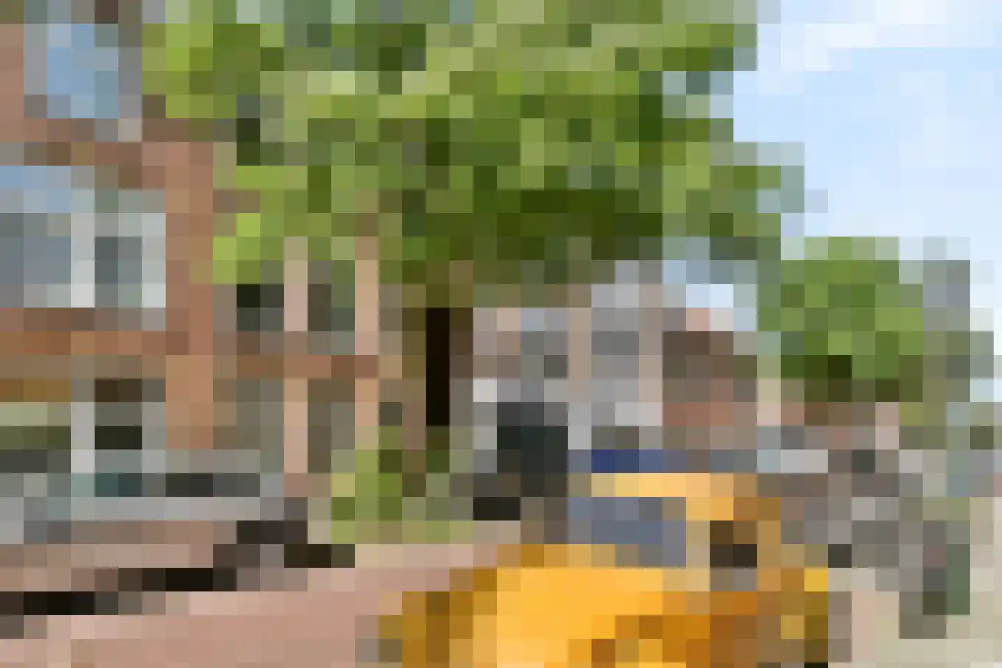 Cartesiusstraat 213 Den Haag thumbnail 4
