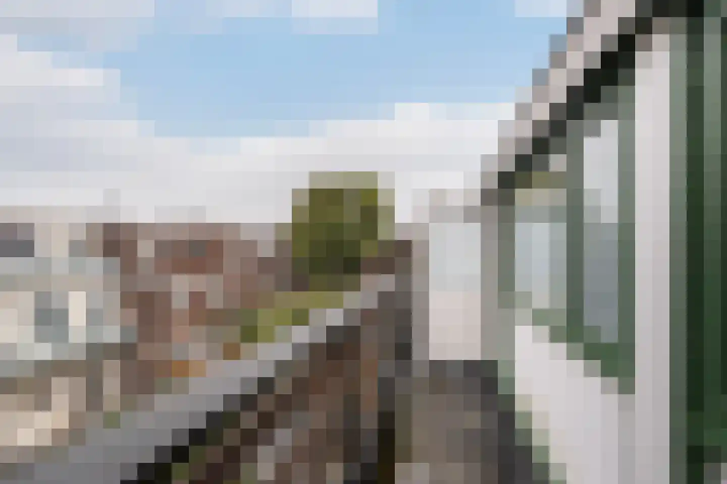 Cartesiusstraat 22 Schiedam thumbnail 25