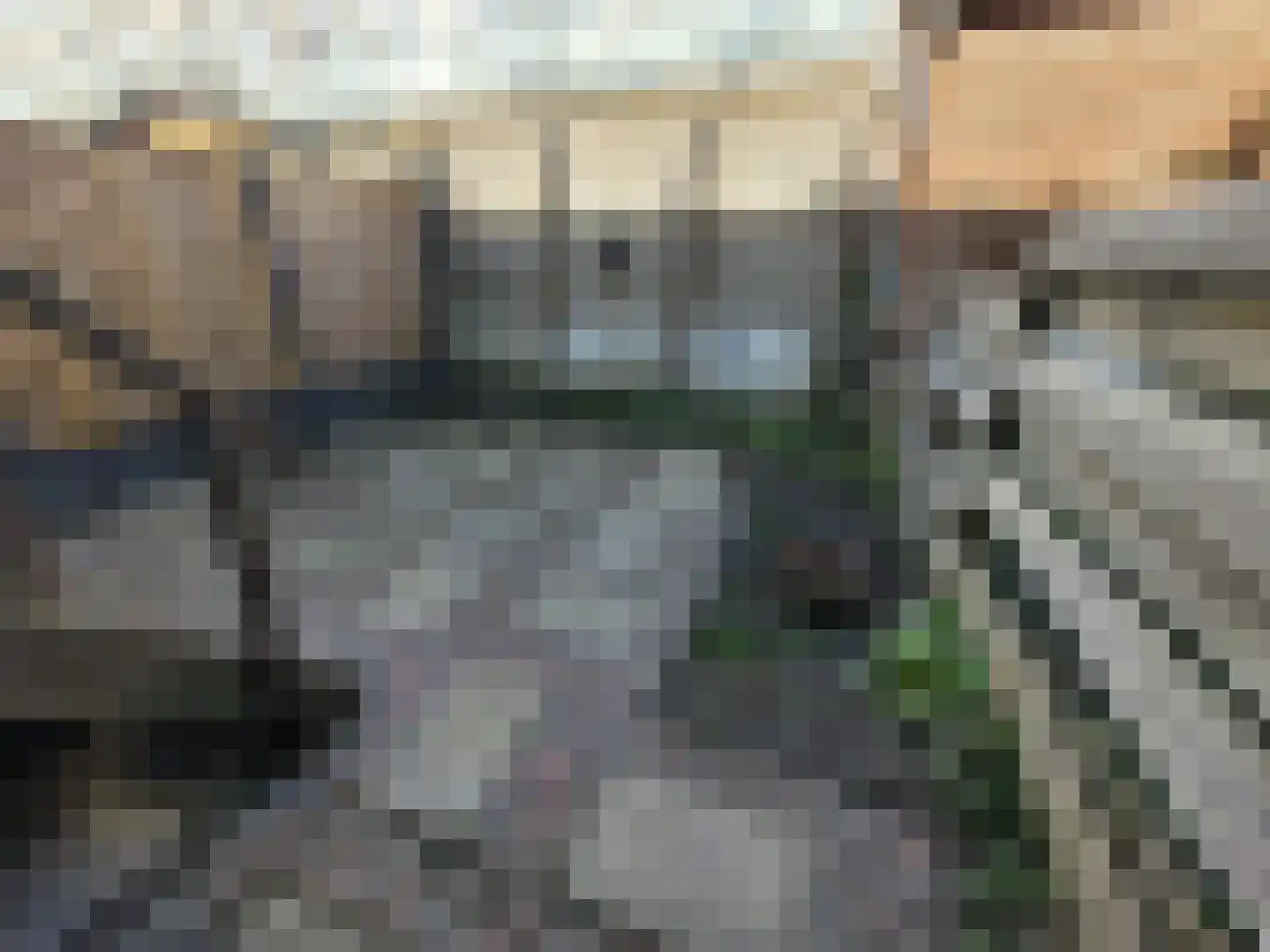 Cartesiusstraat 22 Schiedam thumbnail 7