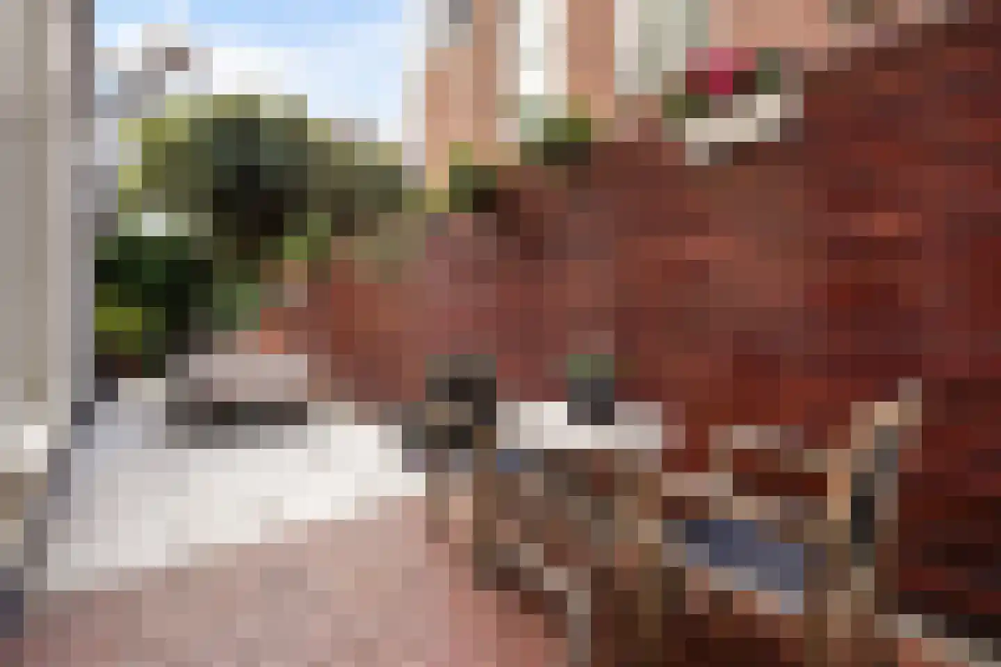 Cartesiusstraat 250 Den Haag thumbnail 24
