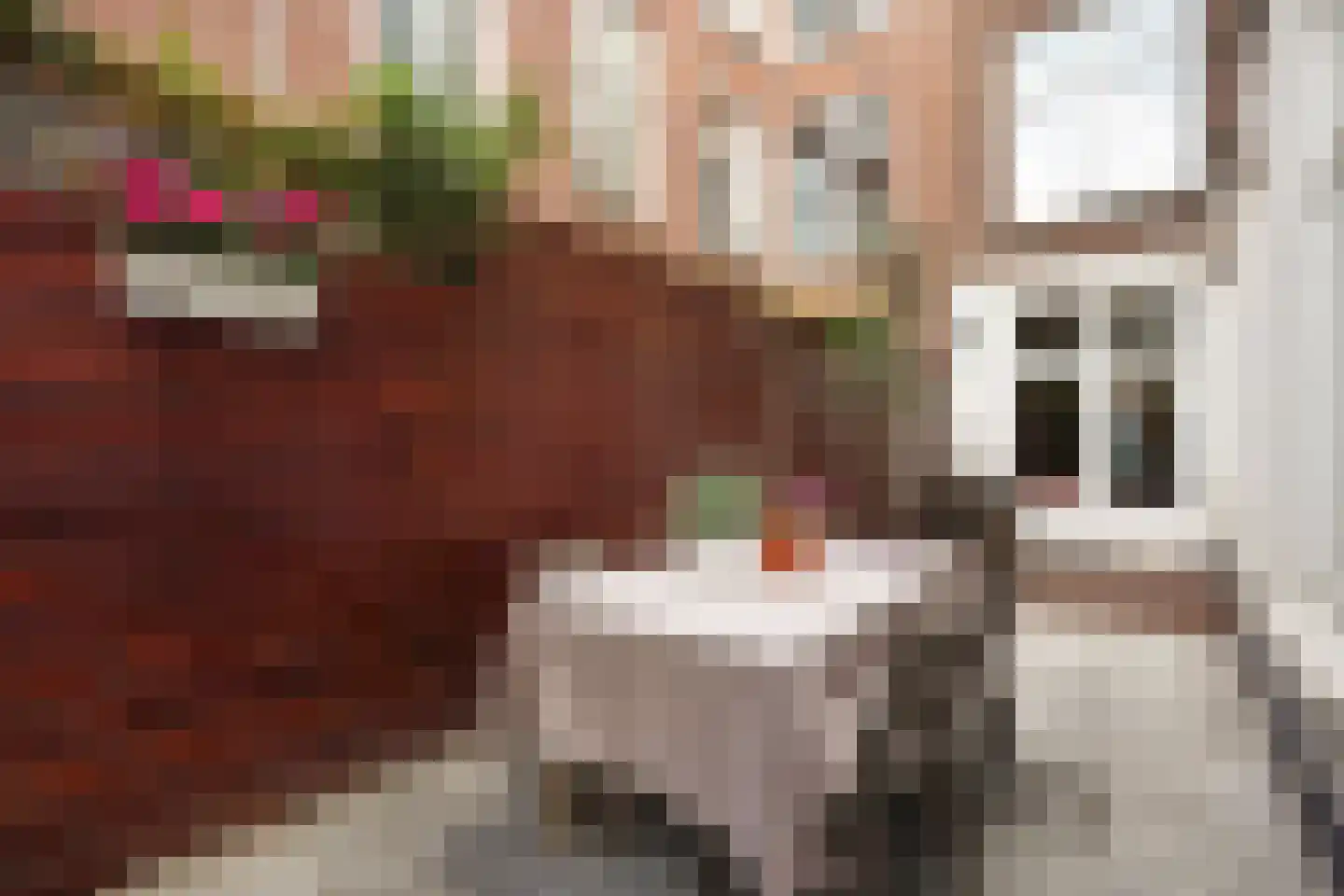 Cartesiusstraat 250 Den Haag thumbnail 30