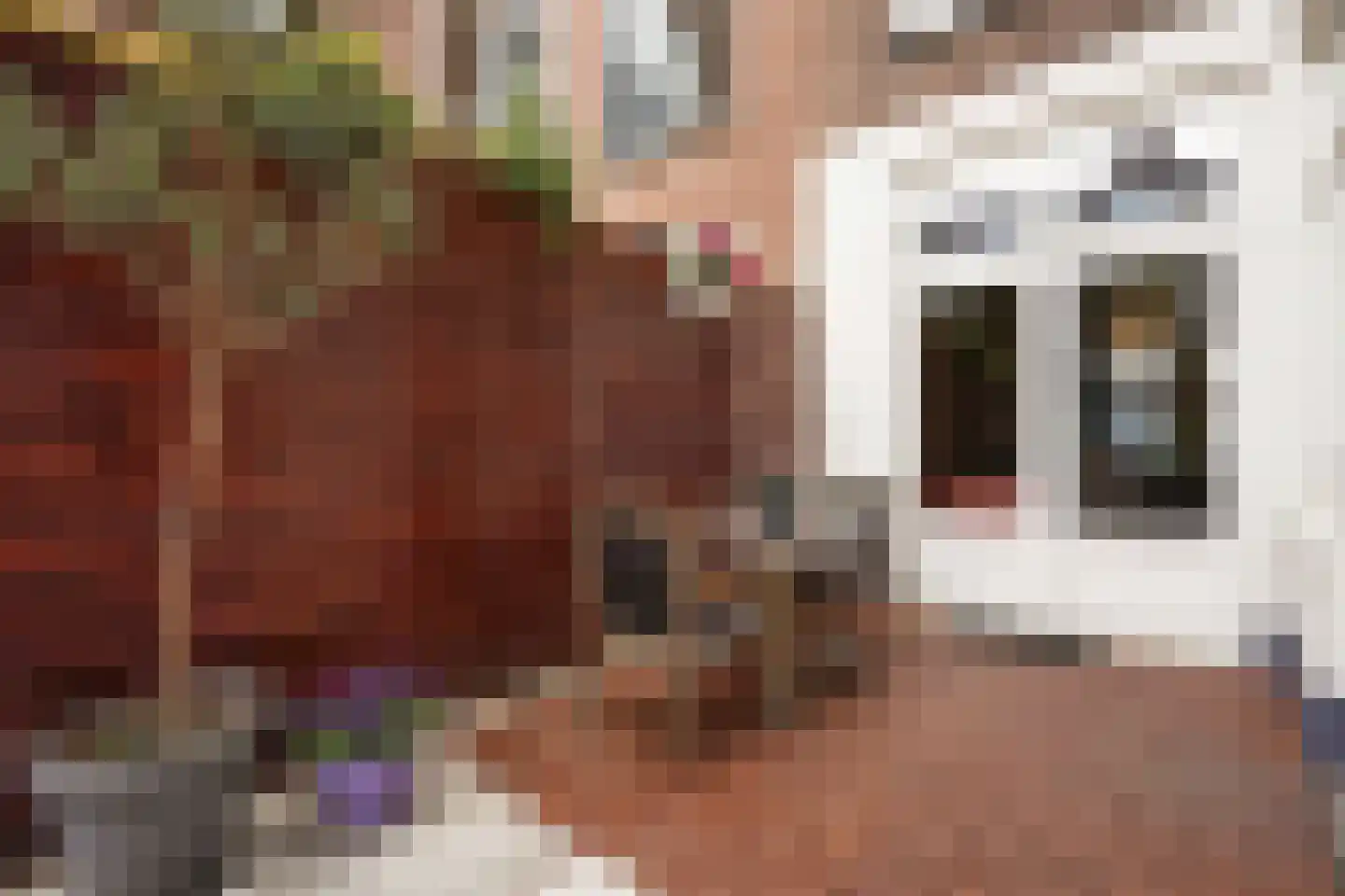 Cartesiusstraat 250 Den Haag thumbnail 31