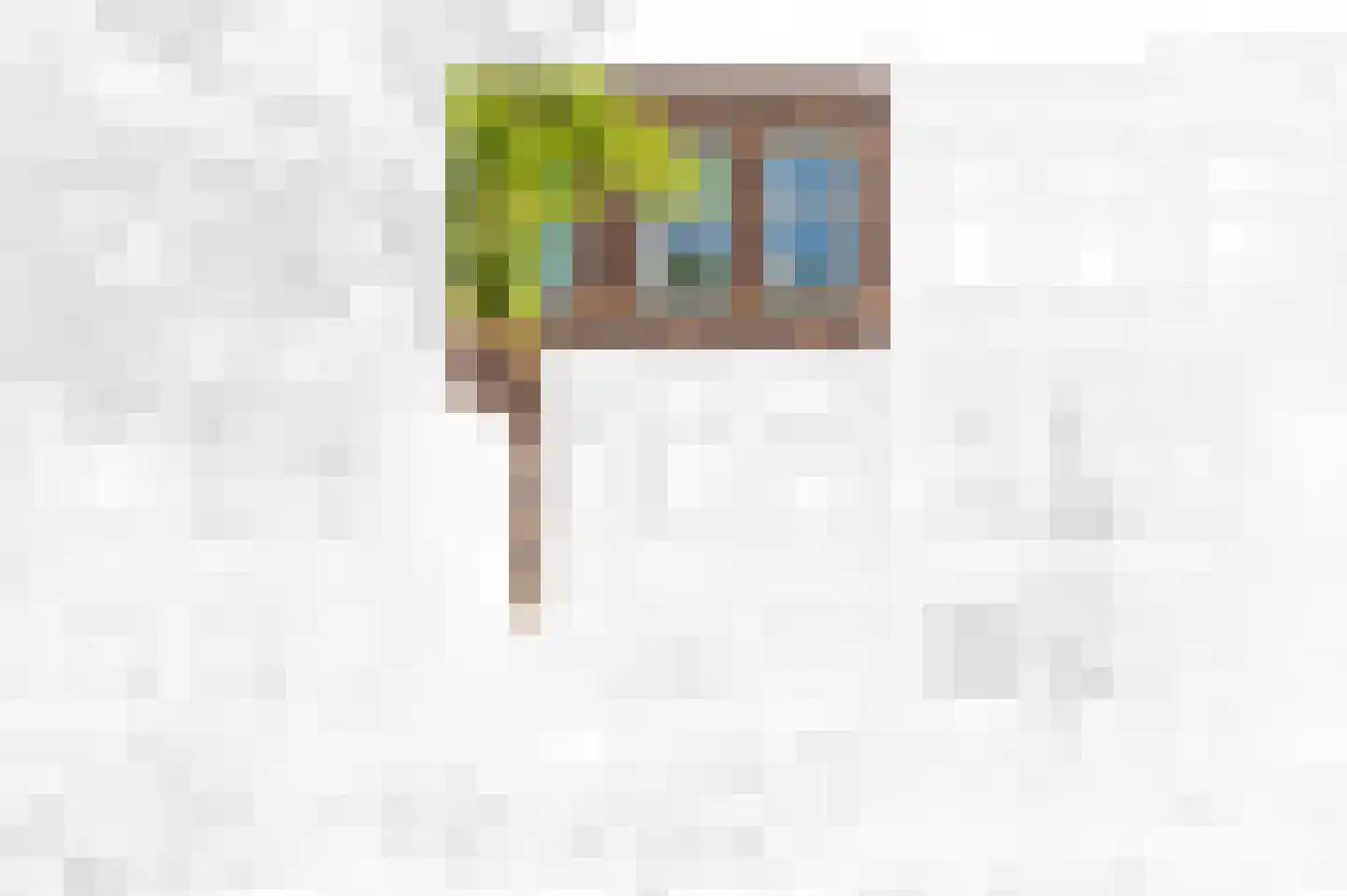 Cartesiusstraat 258 Den Haag thumbnail 4