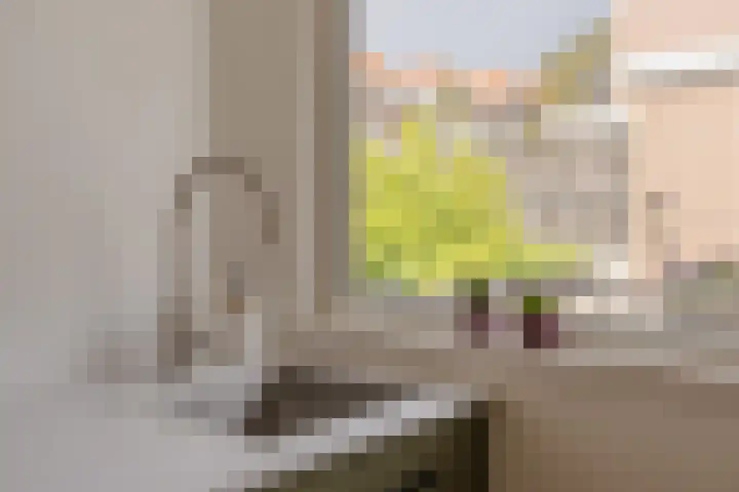 Cartesiusstraat 3 Den Haag thumbnail 14
