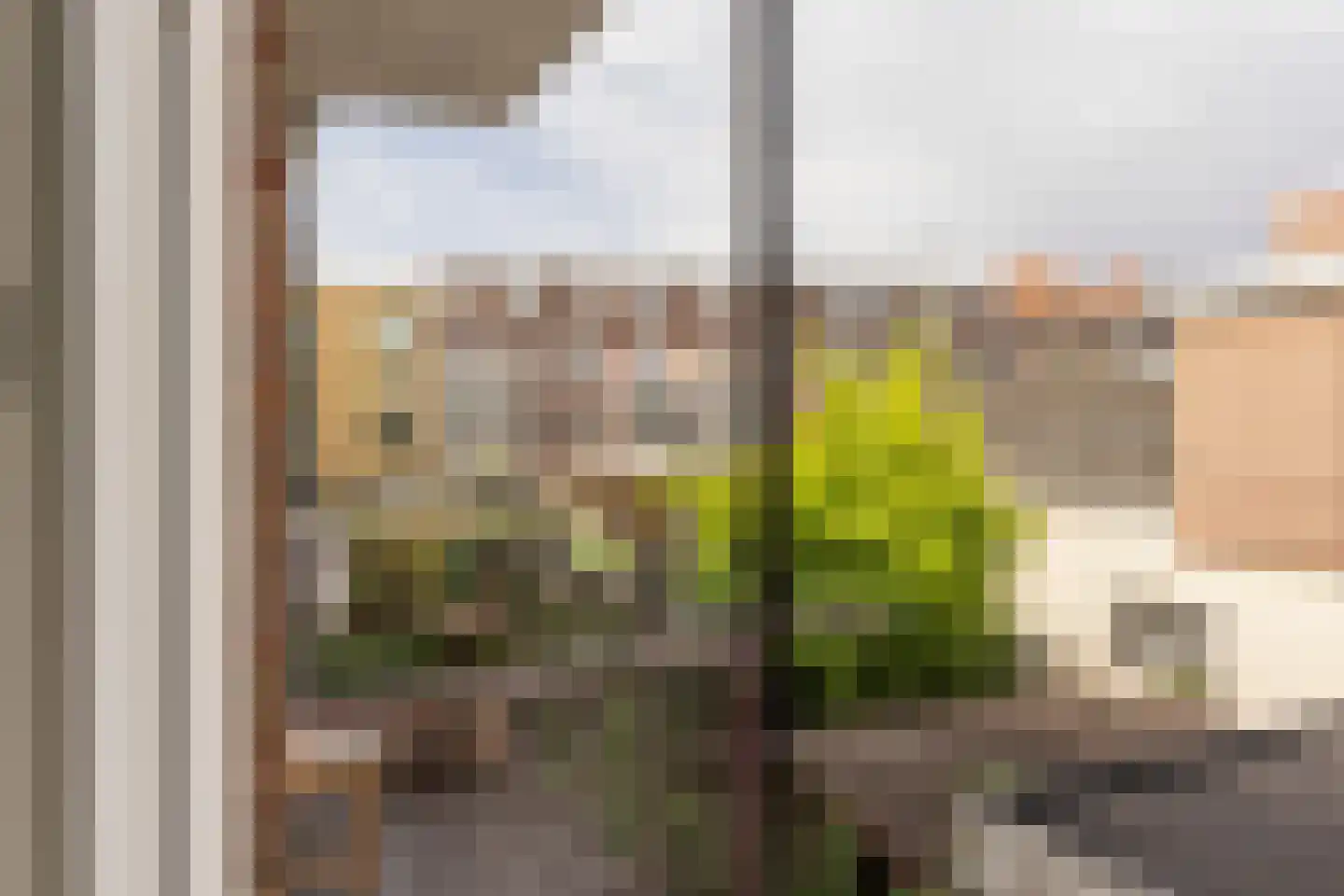 Cartesiusstraat 3 Den Haag thumbnail 16