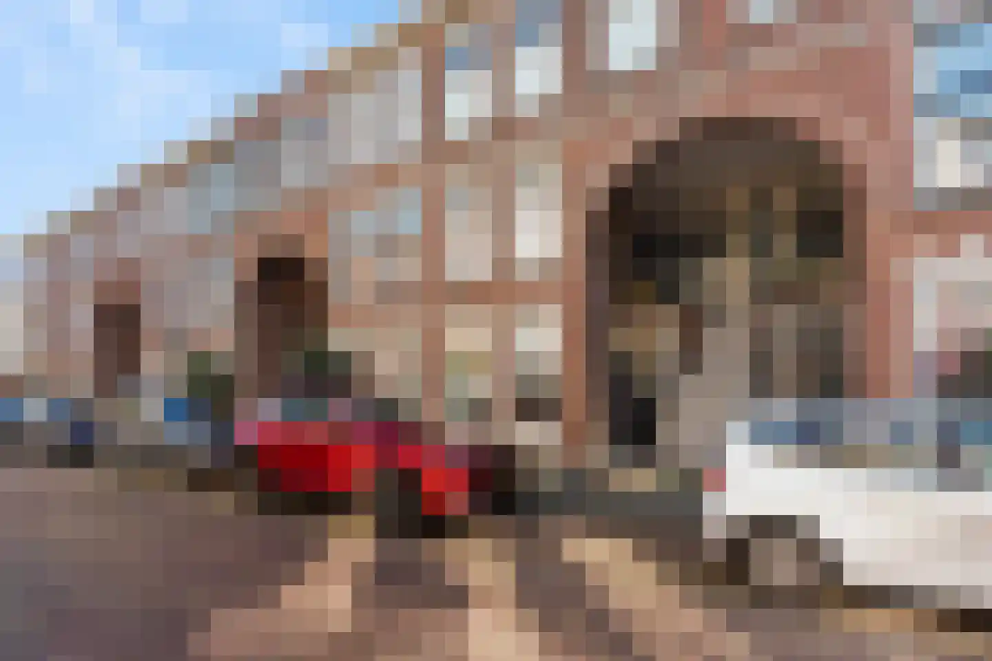 Cartesiusstraat 322 Den Haag thumbnail 6