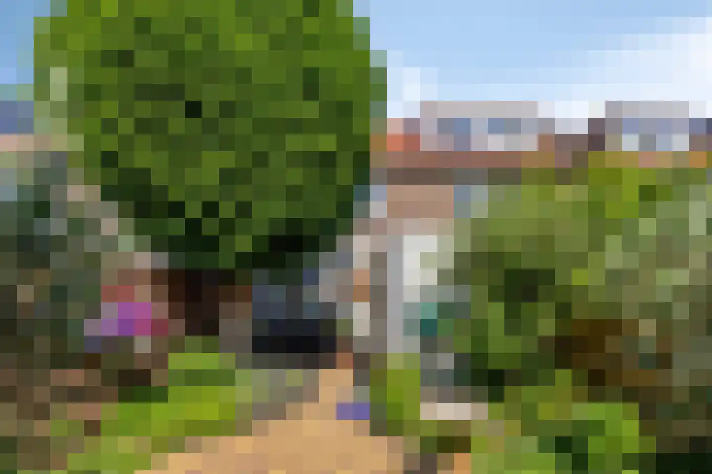 Cartesiusstraat 43 Deventer thumbnail 27