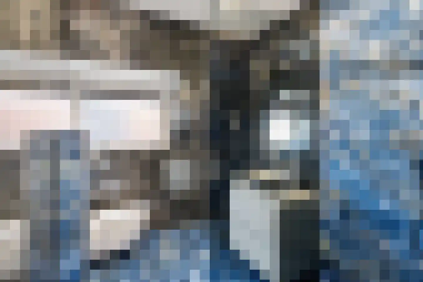 Cartesiusstraat 7 A Schiedam thumbnail 5