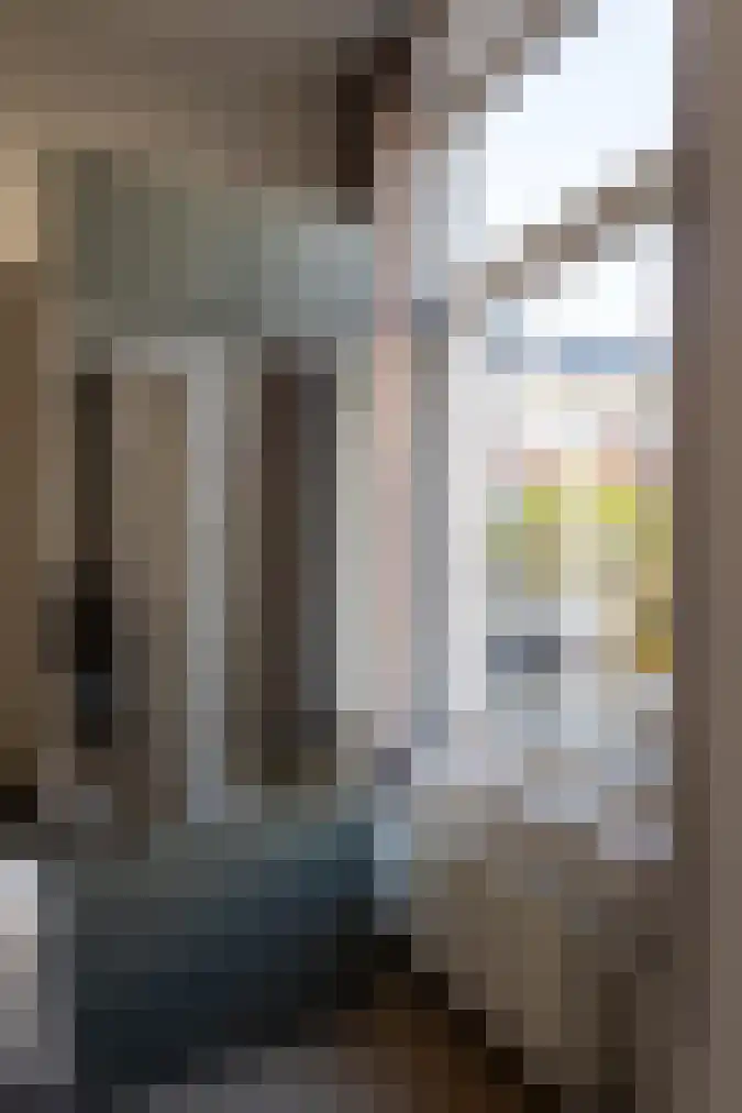 Cartesiusstraat 88 Den Haag thumbnail 5