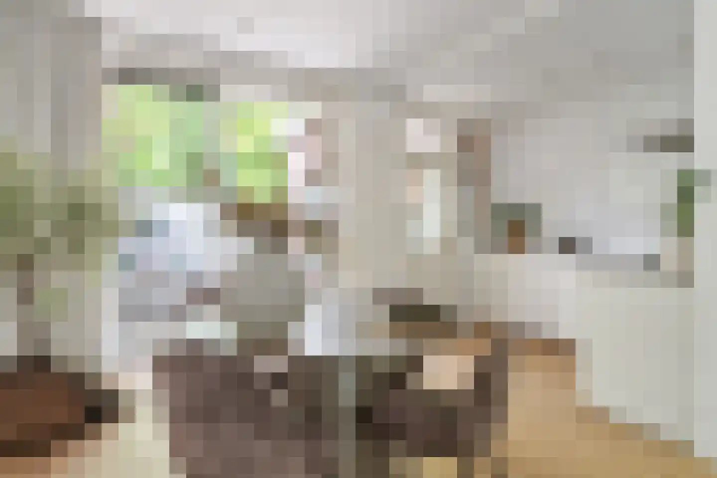 Cartesiusweg 53 Utrecht thumbnail 15