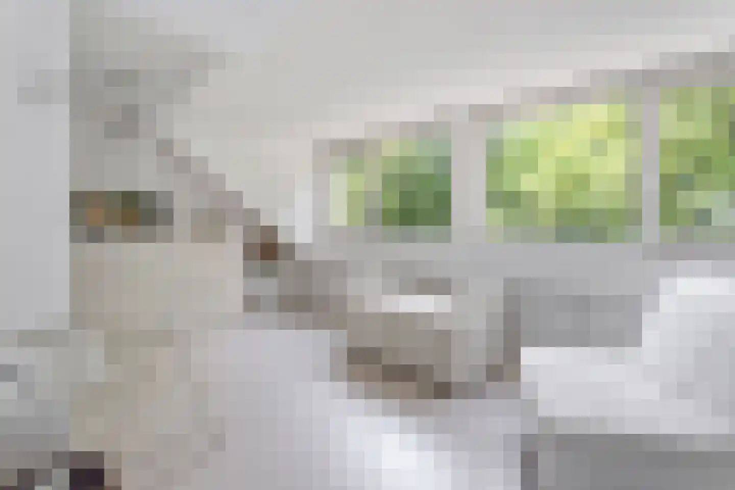 Cartesiusweg 53 Utrecht thumbnail 33