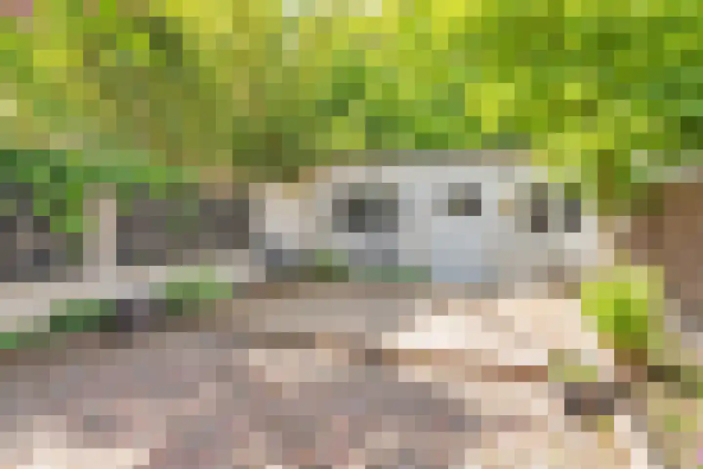 Cartesiusweg 53 Utrecht thumbnail 39