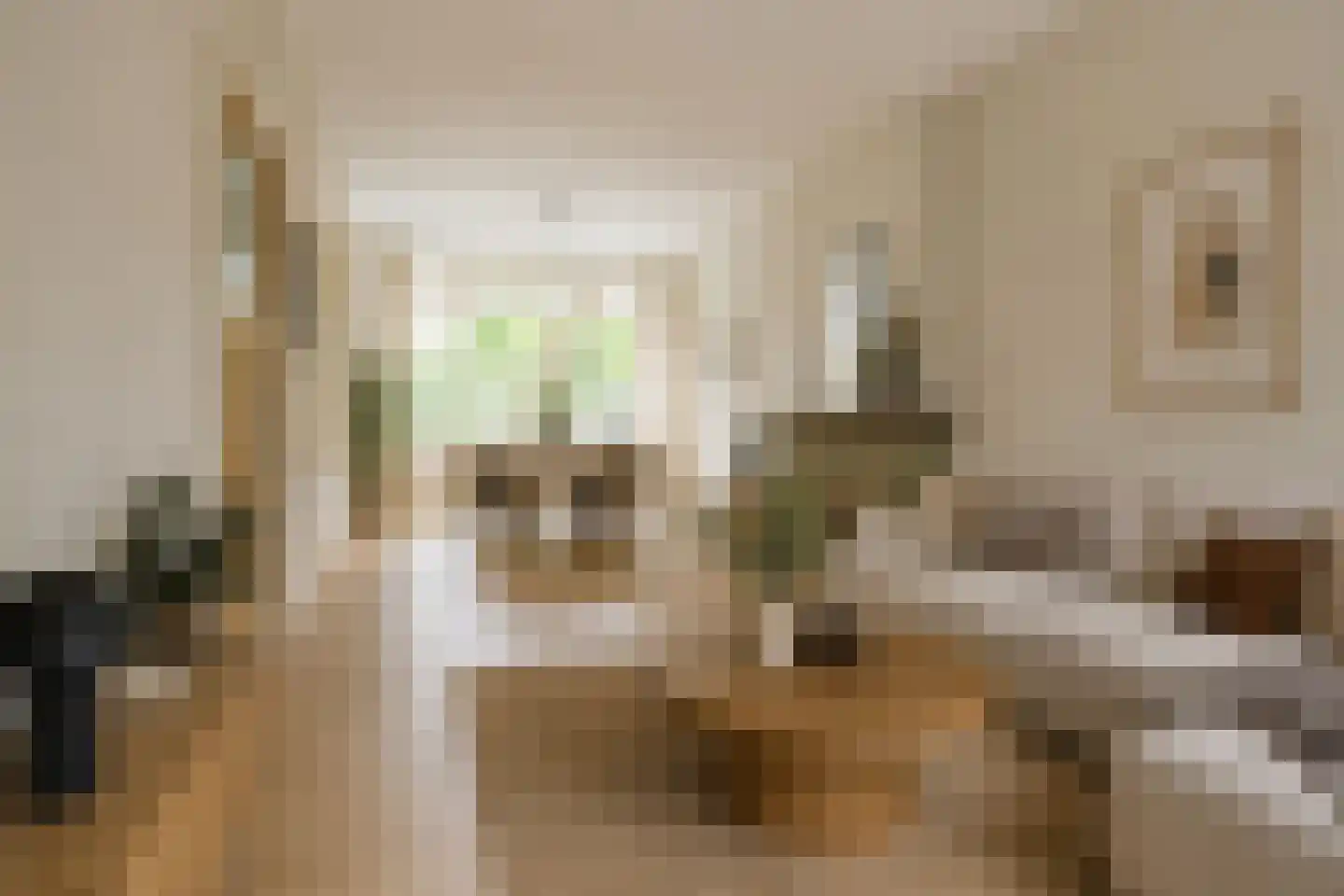Cartesiusweg 63 Utrecht thumbnail 11