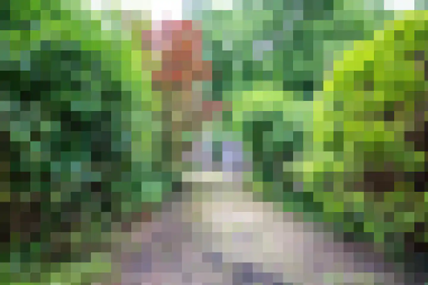 Cartesiusweg 63 Utrecht thumbnail 14