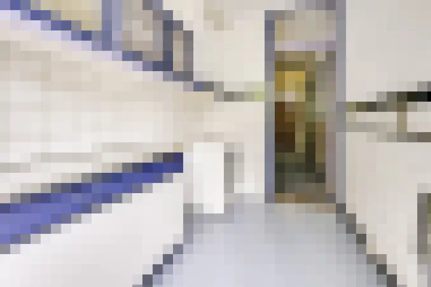 Cartesiusweg 63 Utrecht thumbnail 17