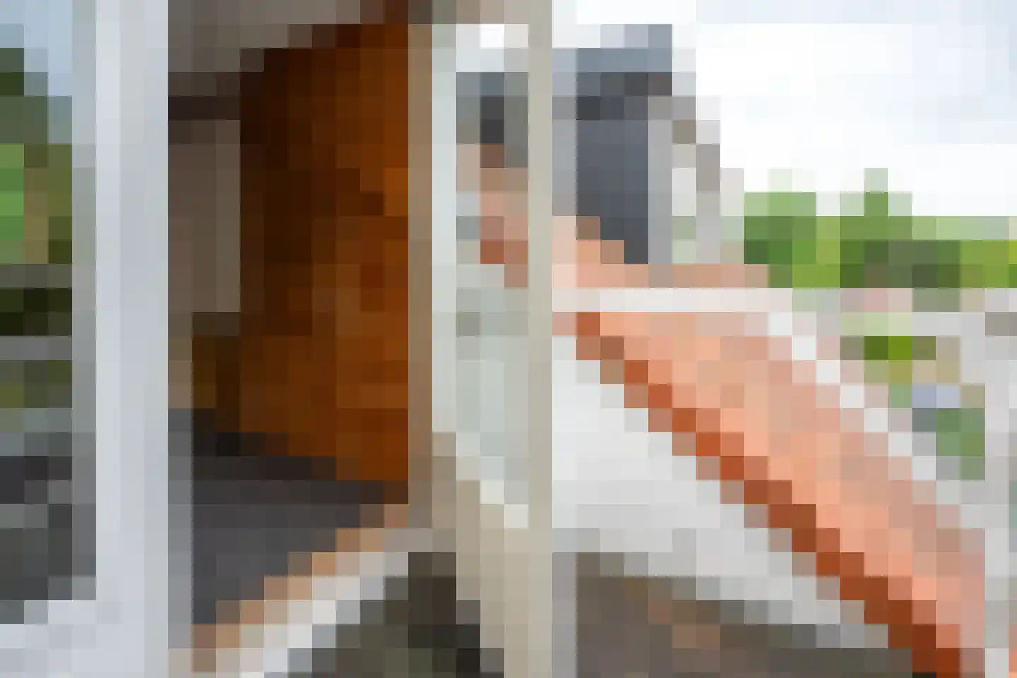 Cartesiusweg 63 Utrecht thumbnail 32