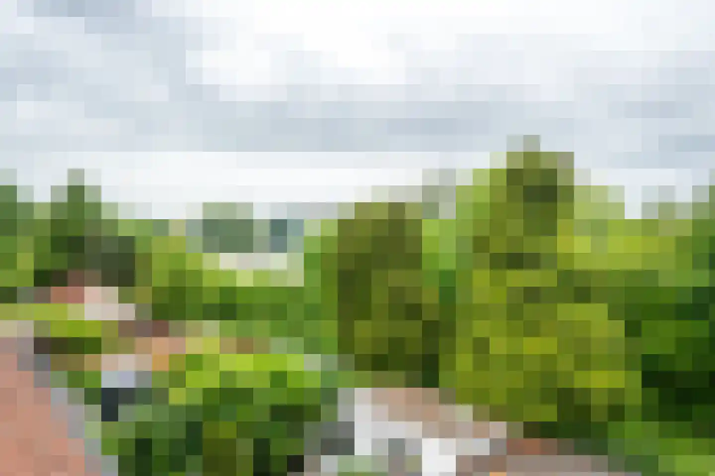 Cartesiusweg 63 Utrecht thumbnail 33