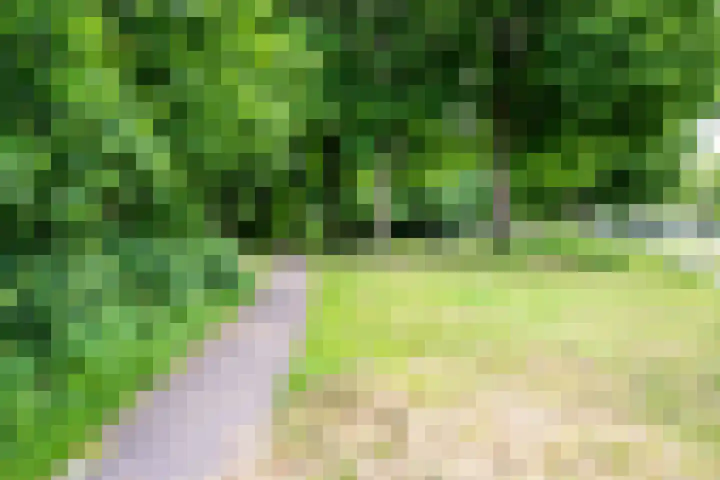Cartesiusweg 63 Utrecht thumbnail 39