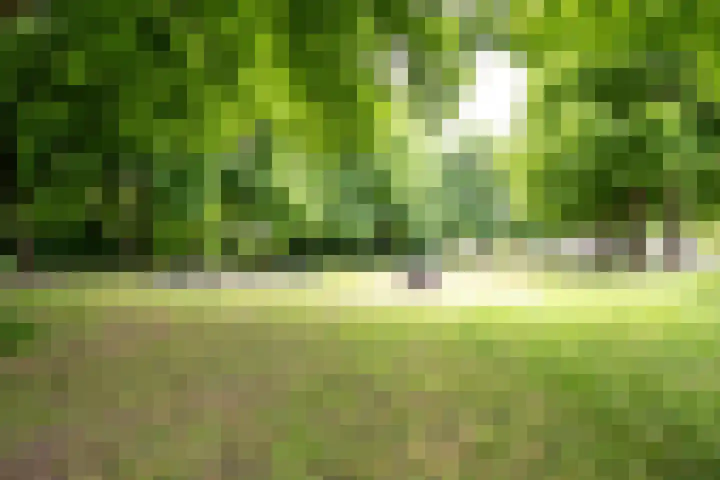 Cartesiusweg 63 Utrecht thumbnail 40