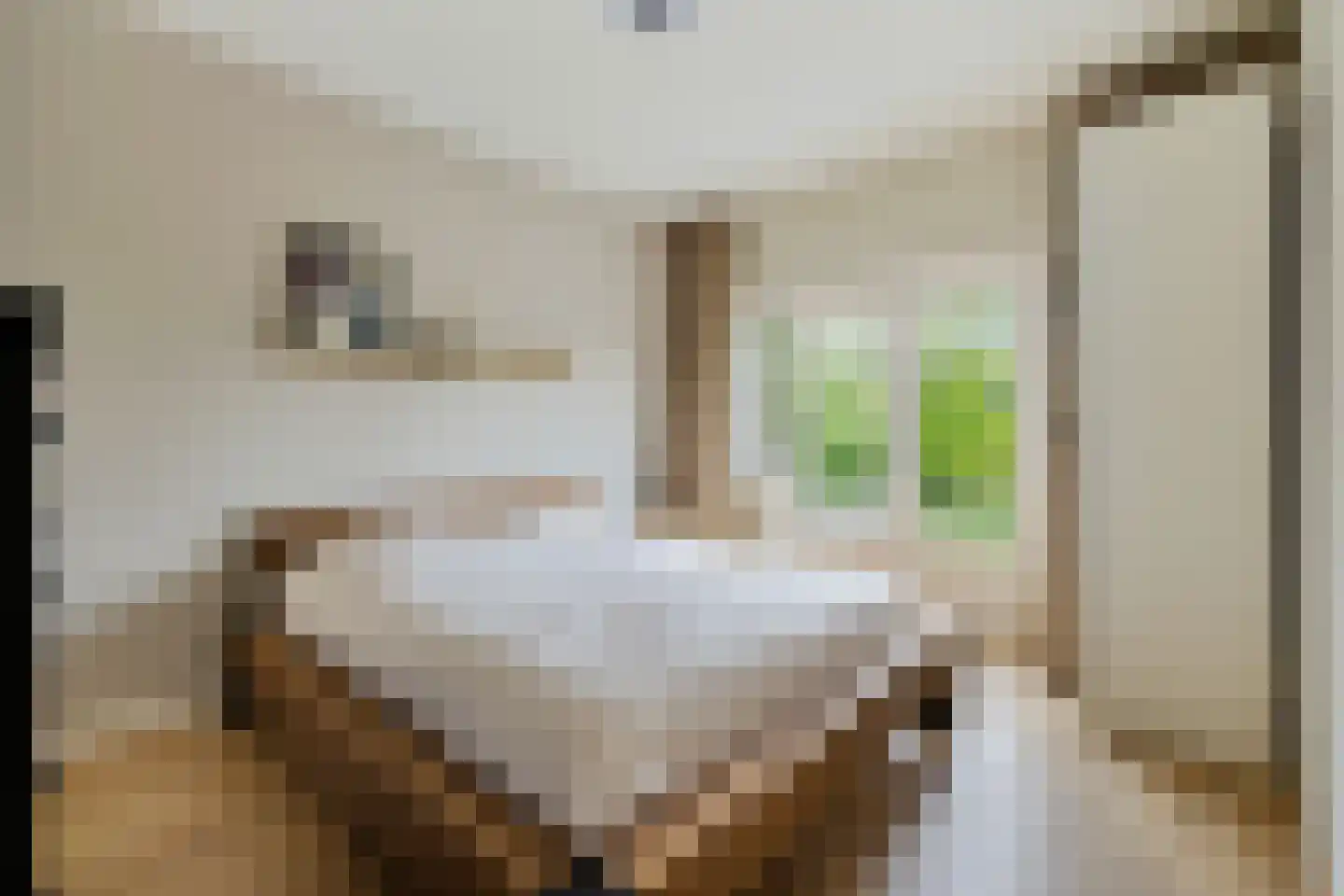 Cartesiusweg 87 Utrecht thumbnail 30