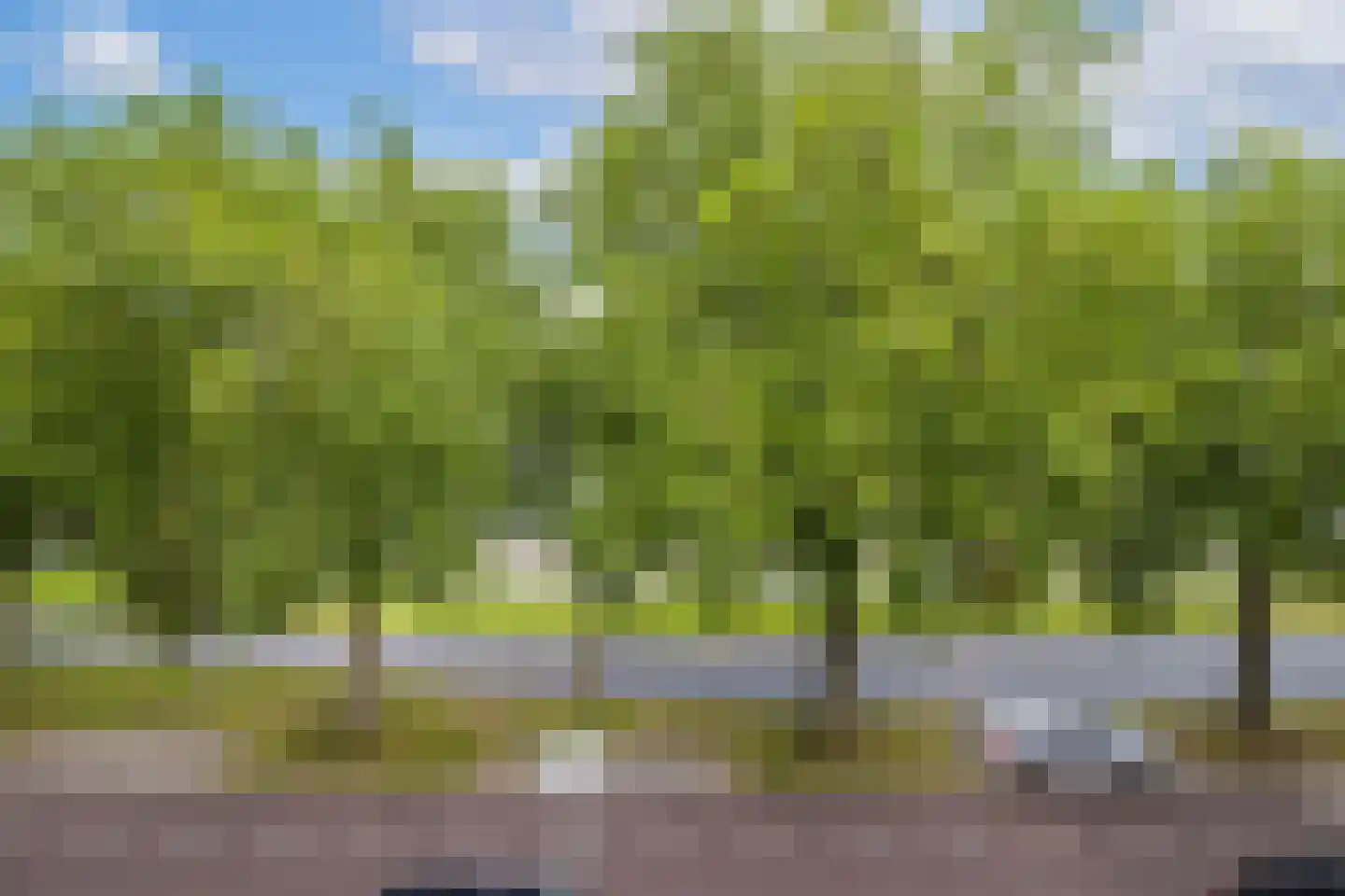 Cartesiusweg 87 Utrecht thumbnail 42