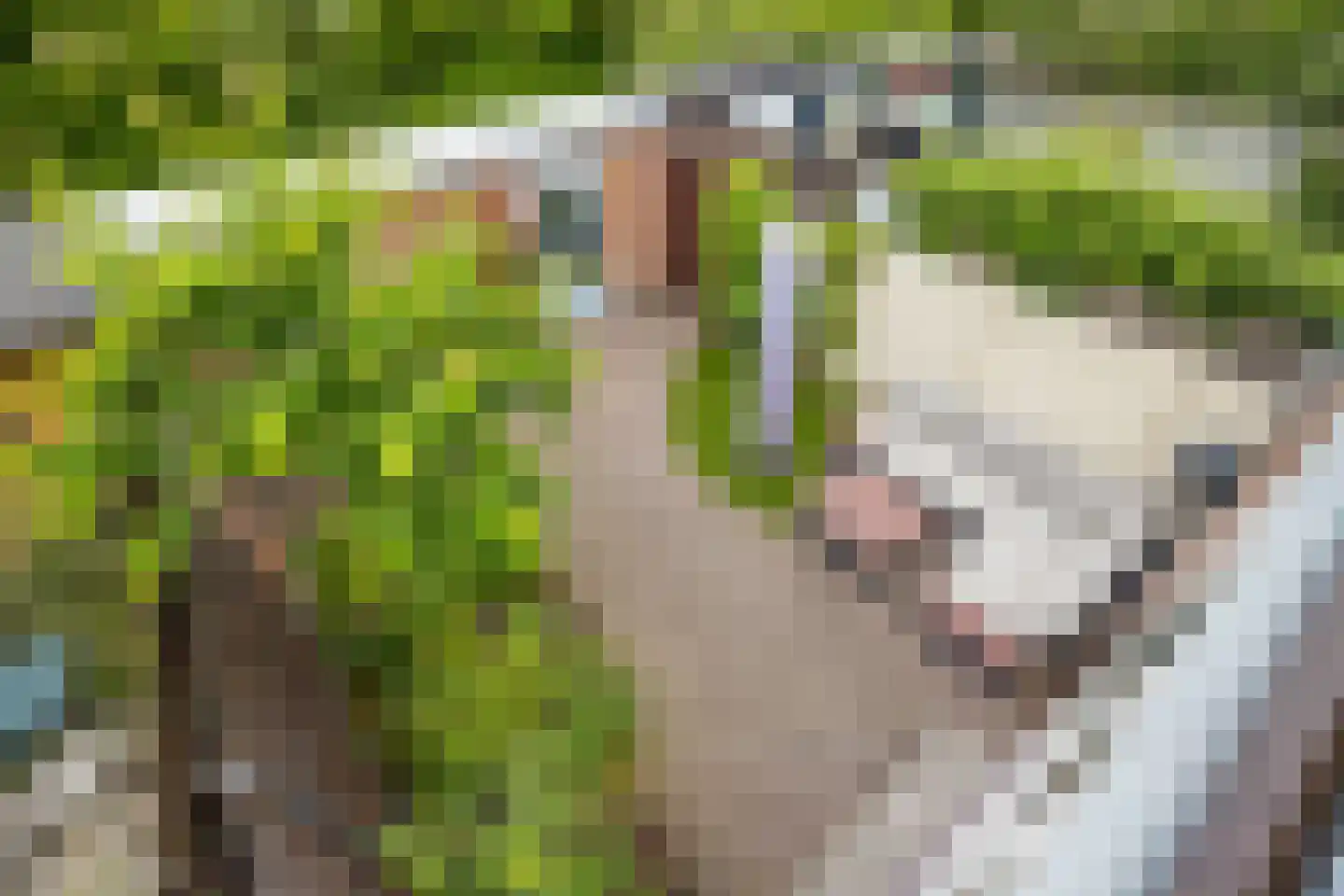Cartesiusweg 87 Utrecht thumbnail 48