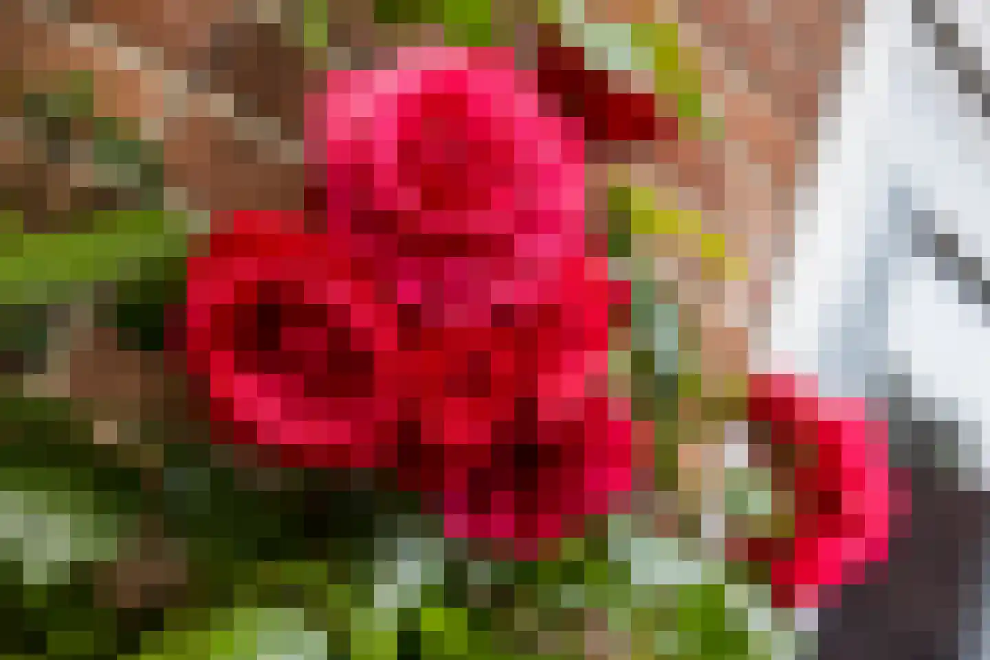 Cartesiusweg 87 Utrecht thumbnail 51