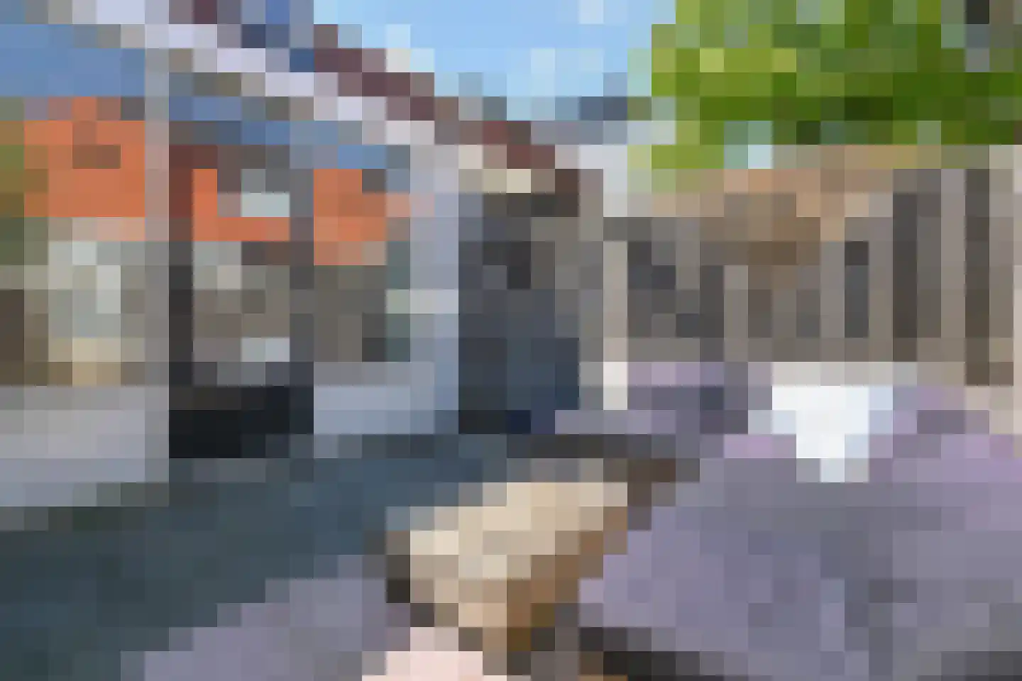 Carthuyzerstraat 2 Delft thumbnail 13