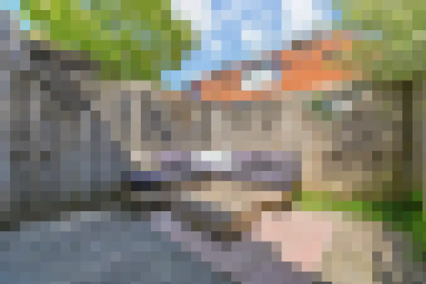 Carthuyzerstraat 2 Delft thumbnail 4