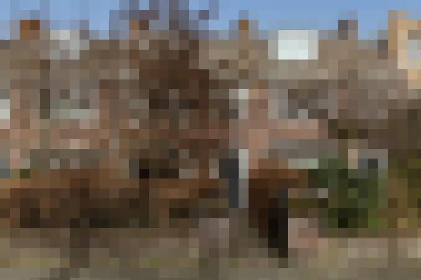 Cartier van Disselstraat 21 Breda thumbnail 29