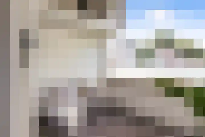 Cartier van Disselstraat 8 A Breda thumbnail 25