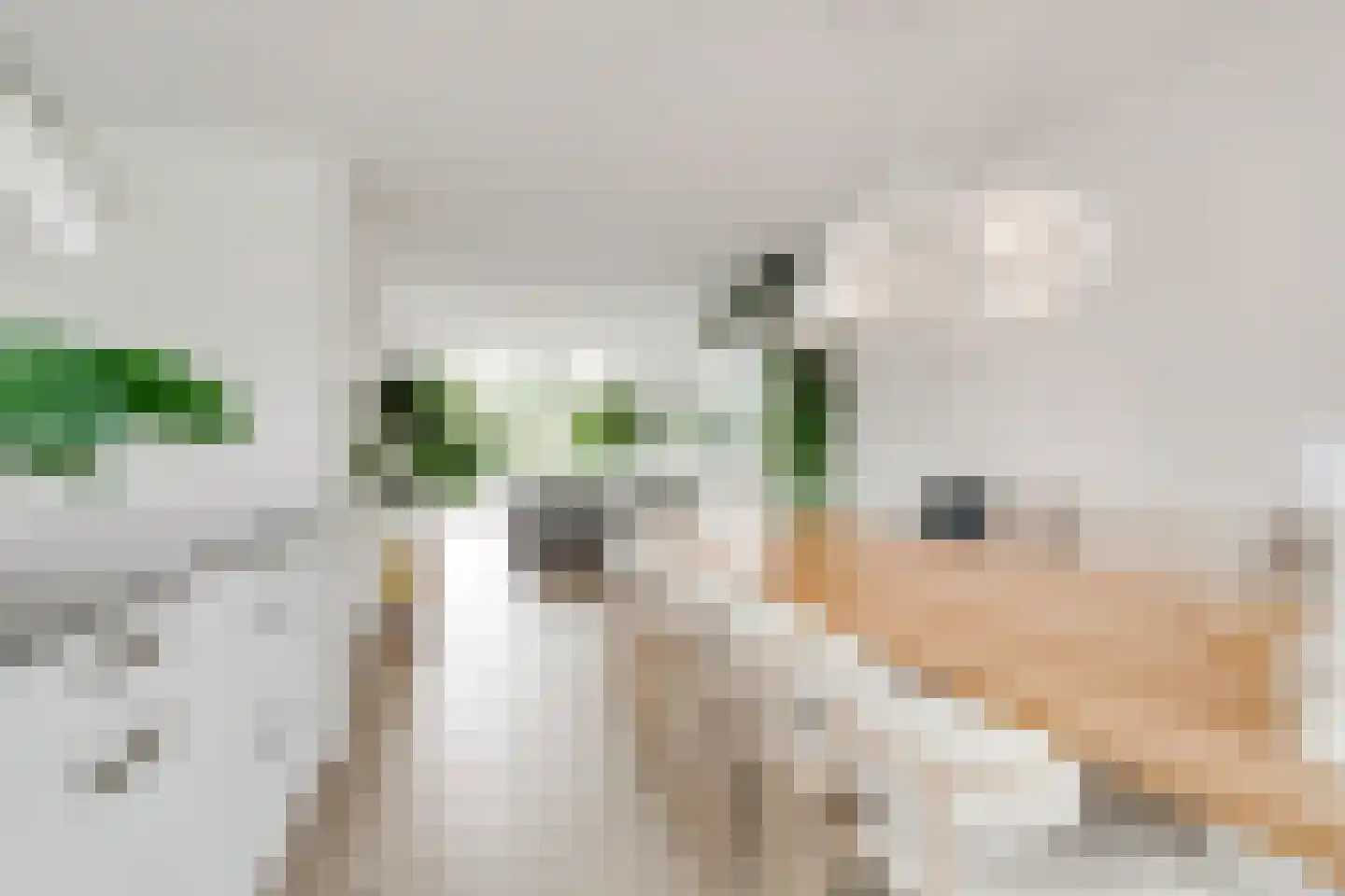 Cartografielaan 11 Uithoorn thumbnail 22