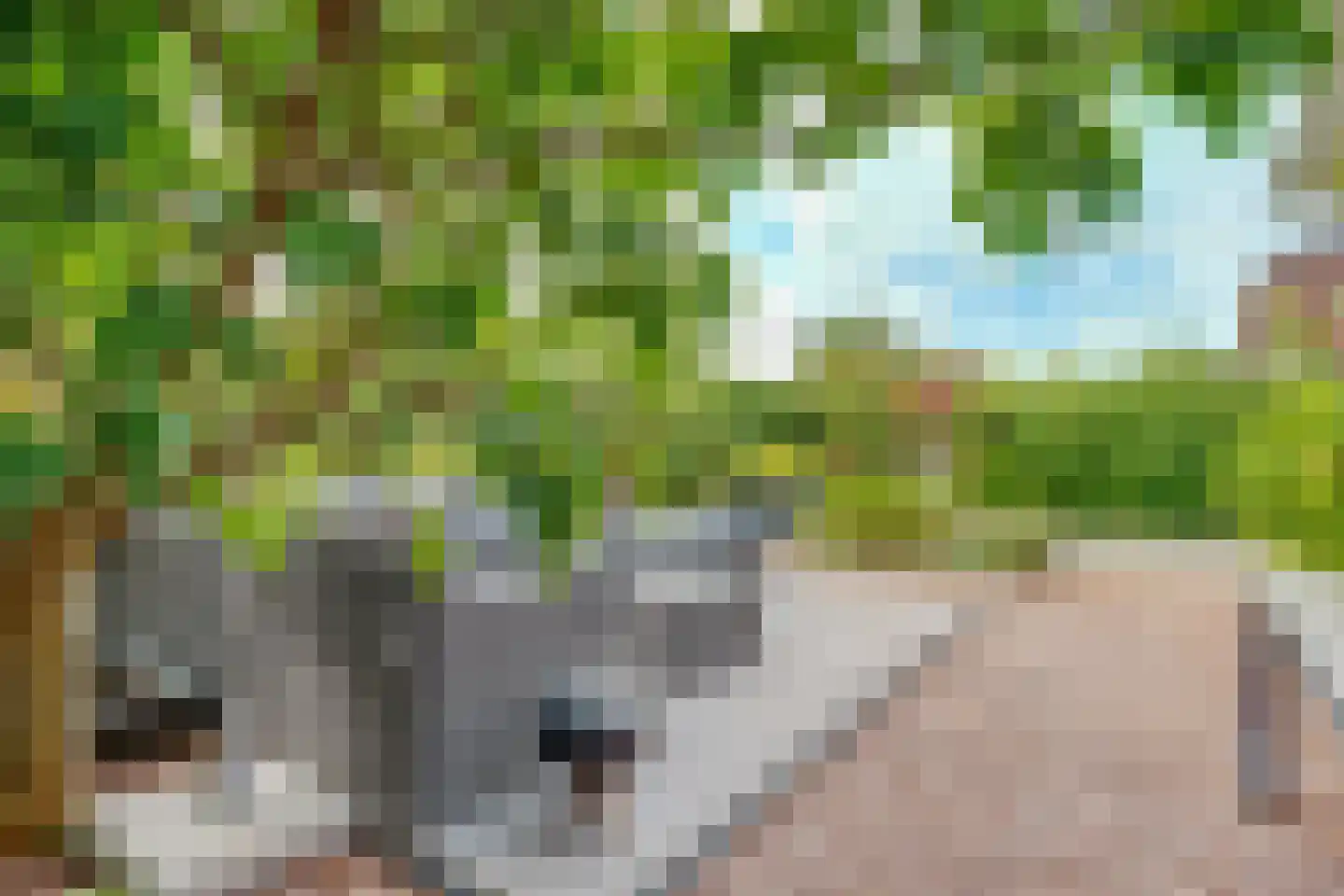 Cartografielaan 11 Uithoorn thumbnail 47