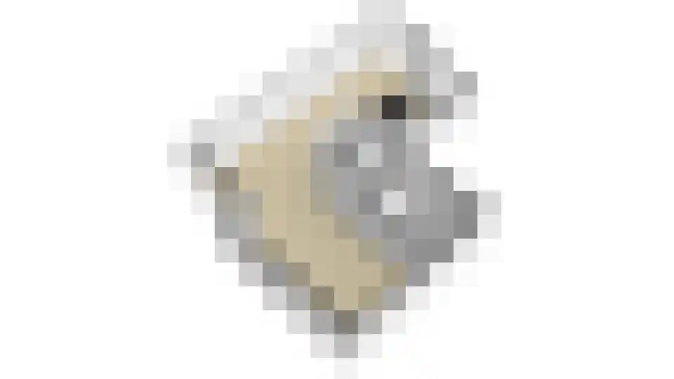 Cartografielaan 11 Uithoorn thumbnail 66