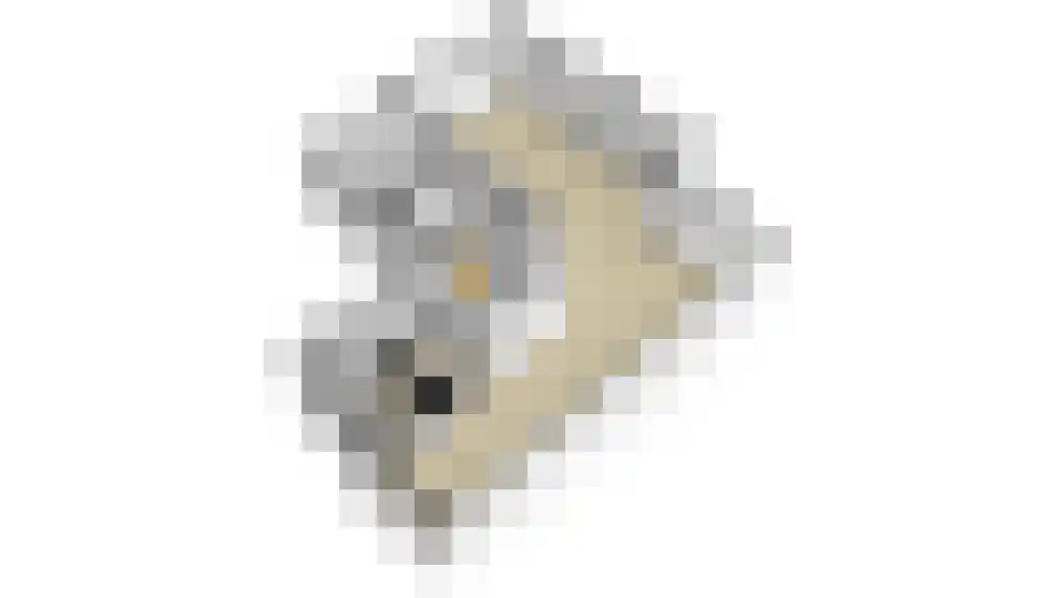 Cartografielaan 11 Uithoorn thumbnail 67