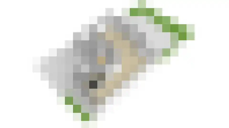 Cartografielaan 11 Uithoorn thumbnail 73
