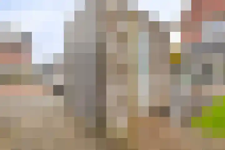 Cartografielaan 20 Uithoorn thumbnail 38