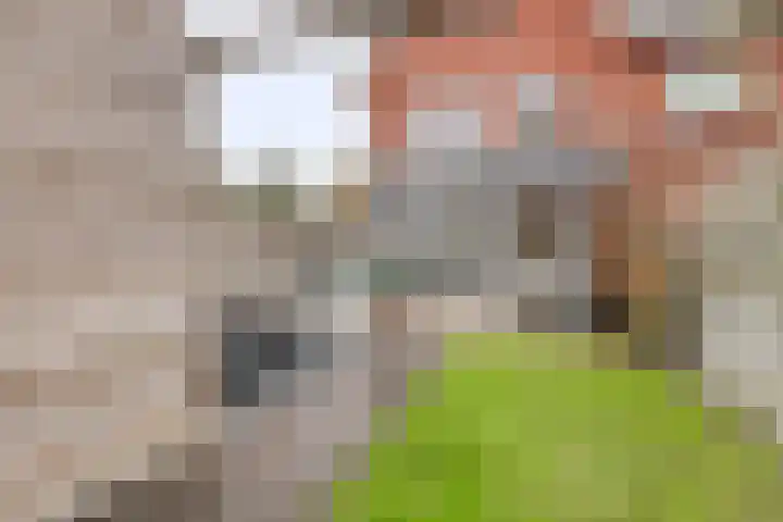 Cartografielaan 20 Uithoorn thumbnail 4