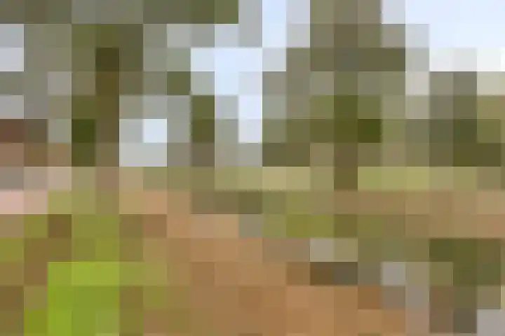 Cartografielaan 20 Uithoorn thumbnail 40