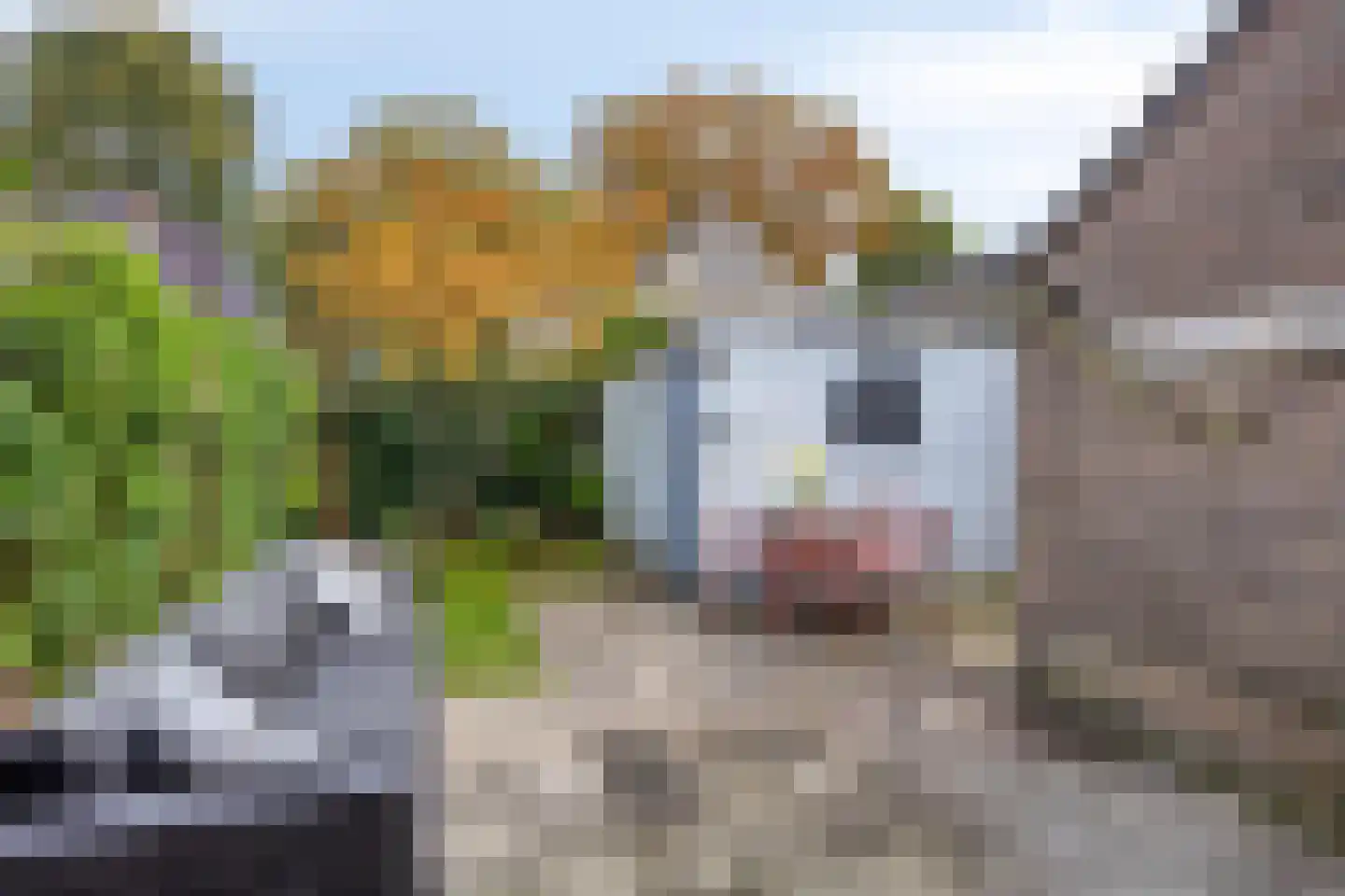 Cartonbaan 17 Hoogezand thumbnail 30