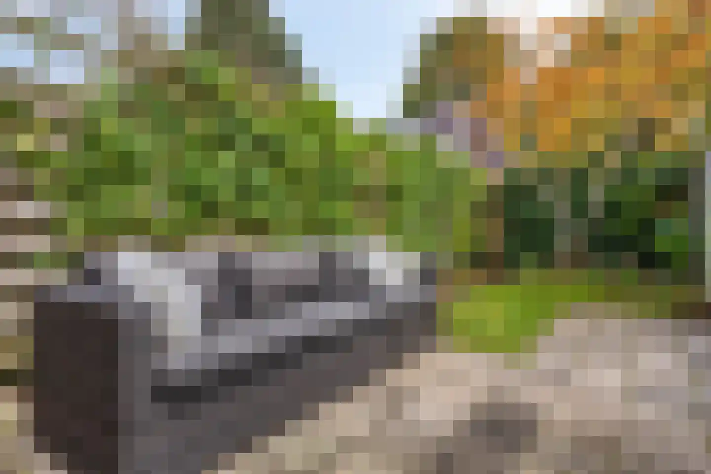 Cartonbaan 17 Hoogezand thumbnail 31