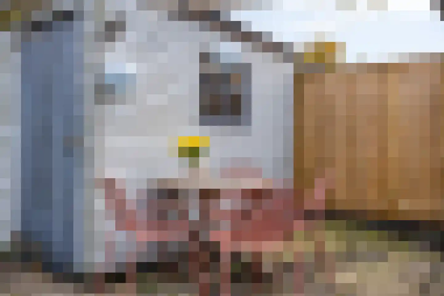 Cartonbaan 17 Hoogezand thumbnail 32