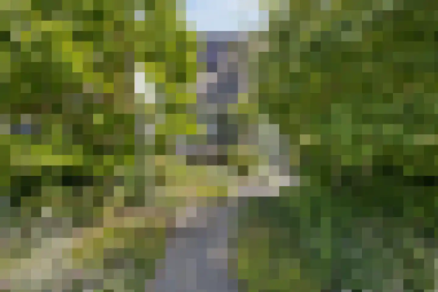 Cartonbaan 17 Hoogezand thumbnail 43
