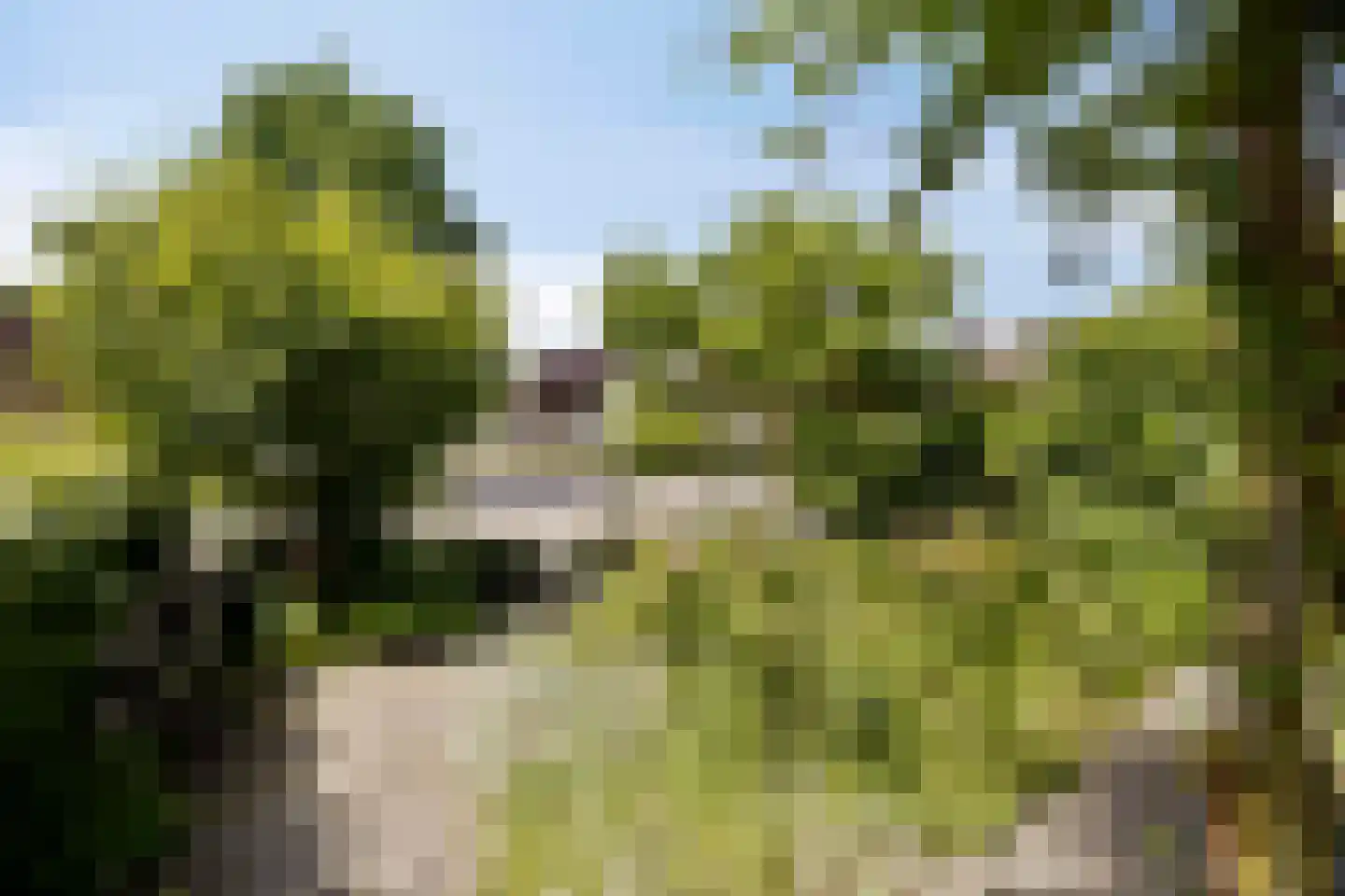 Cartonbaan 17 Hoogezand thumbnail 46